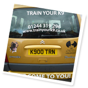 Karen's K900 TRN number plate on her personalised van