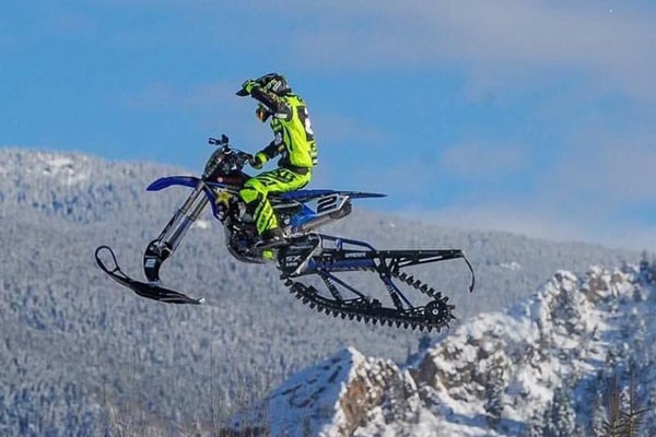 Timbersled Mountain Horse
