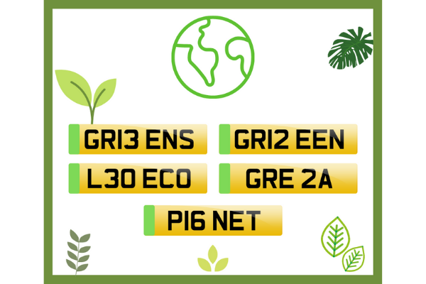 Green Number Plates, Electric Vehicles, and The Environment