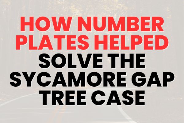 The Tree,The Trail, And The Technology: How Number Plates Are Helping Solve Modern Crimes