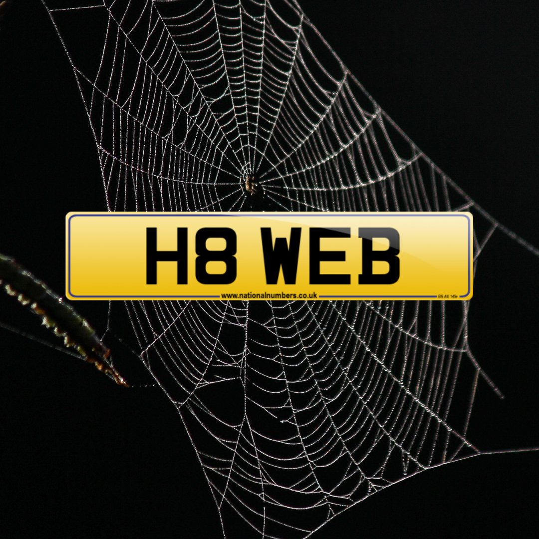 Spider web background with H8 WEB number plate over front