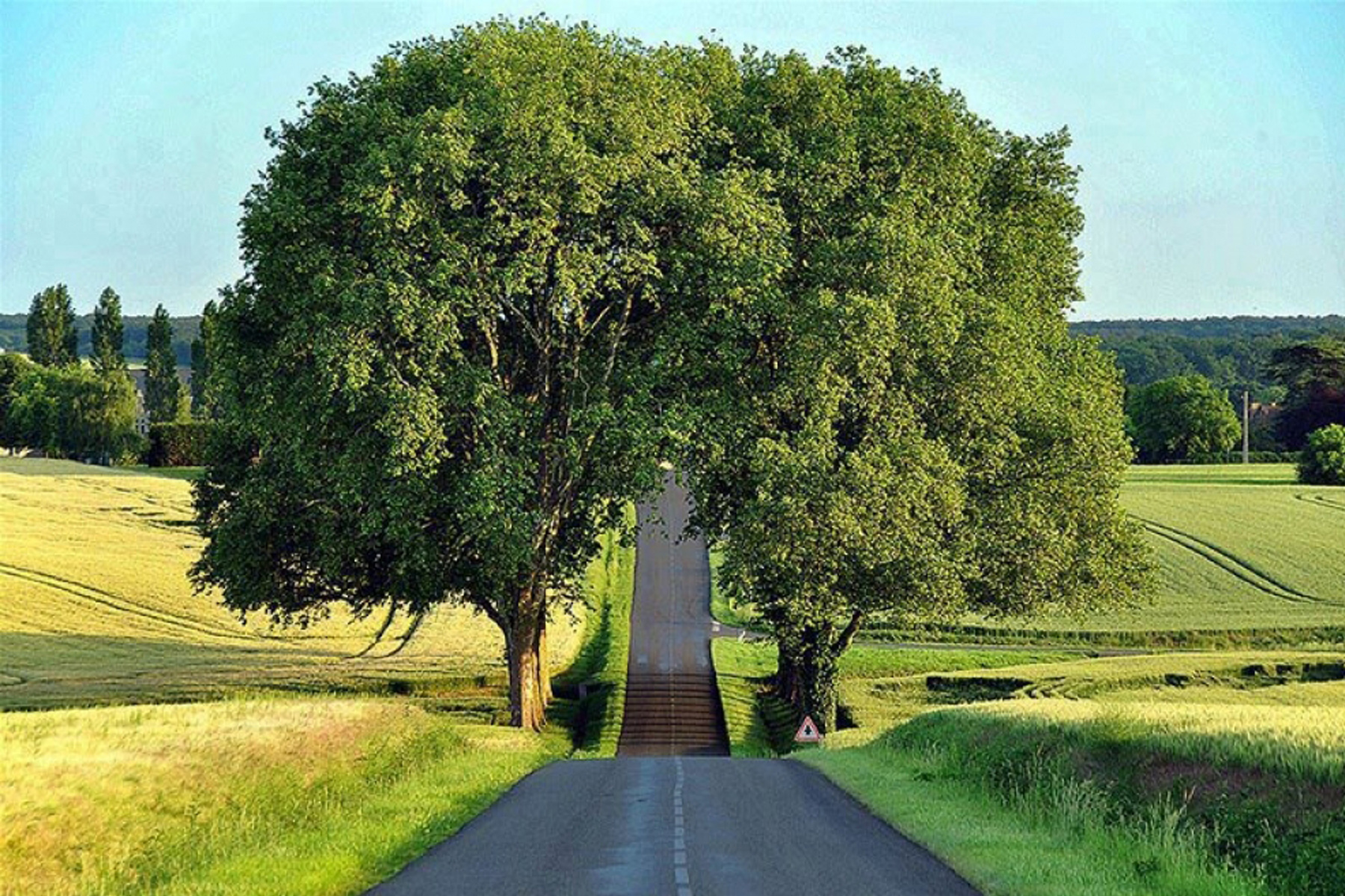Driving in Green-Listed Countries