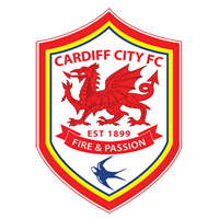 Cardiff City 'Bluebirds' Number Plates
