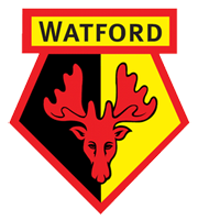 Watford 'Hornets' Number Plates