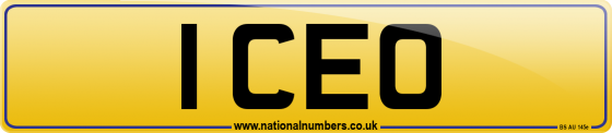 1 CEO