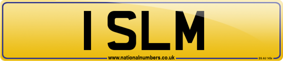 1 SLM