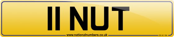 11 NUT