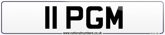 11 PGM