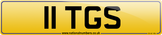11 TGS