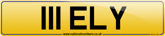 111 ELY