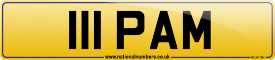 111 PAM