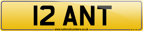 12 ANT