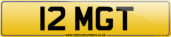 12 MGT