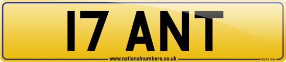 17 ANT