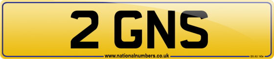 2 GNS