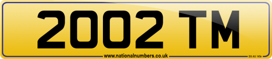 2002 TM