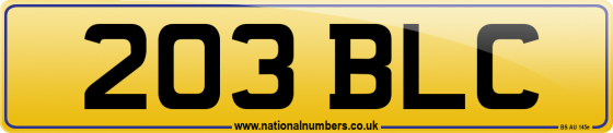 203 BLC