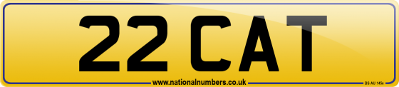 22 CAT