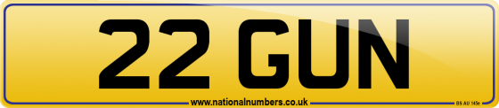 22 GUN