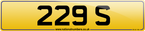 229 S