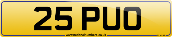 25 PUO