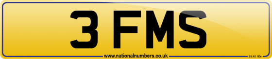 3 FMS
