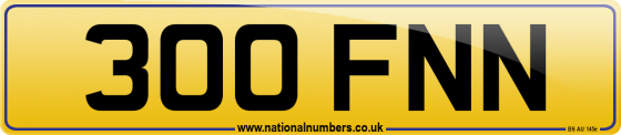 300 FNN