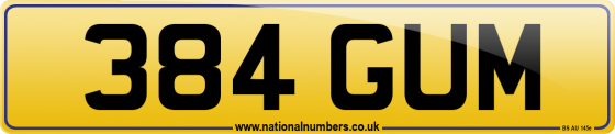 384 GUM