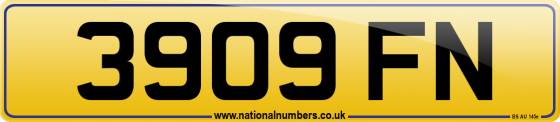3909 FN