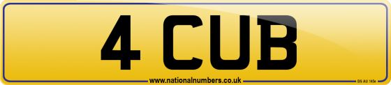 4 CUB