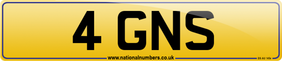 4 GNS