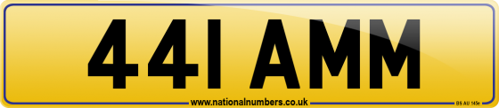 441 AMM