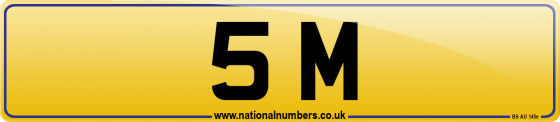 5 M