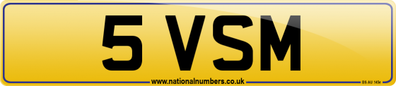 5 VSM