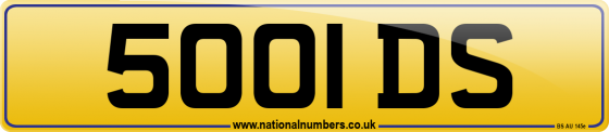 5001 DS