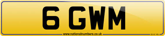 6 GWM