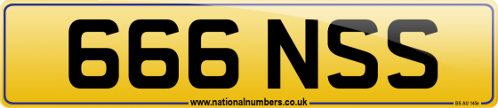 666 NSS