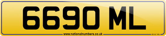 6690 ML