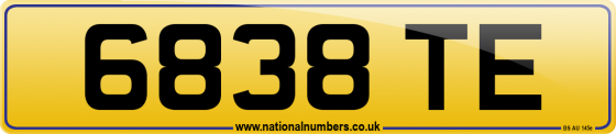 6838 TE