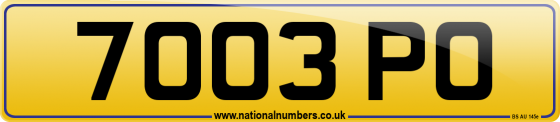 7003 PO