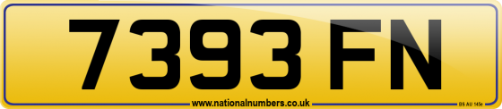 7393 FN