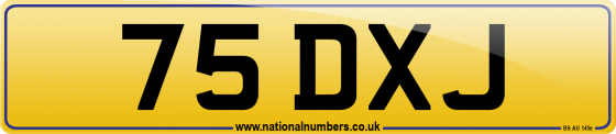 75 DXJ