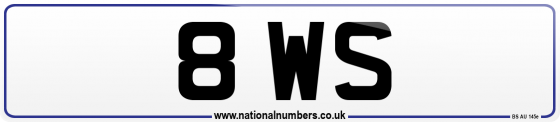 8 WS