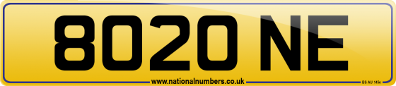 8020 NE
