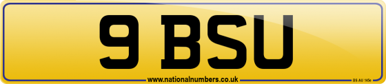9 BSU
