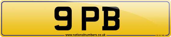 9 PB