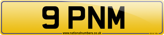 9 PNM