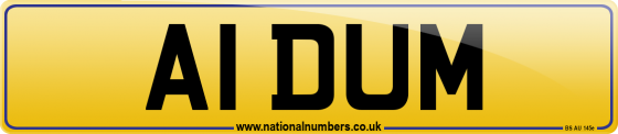 A1 DUM