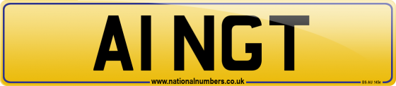A1 NGT