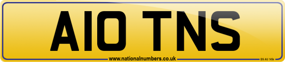 A10 TNS